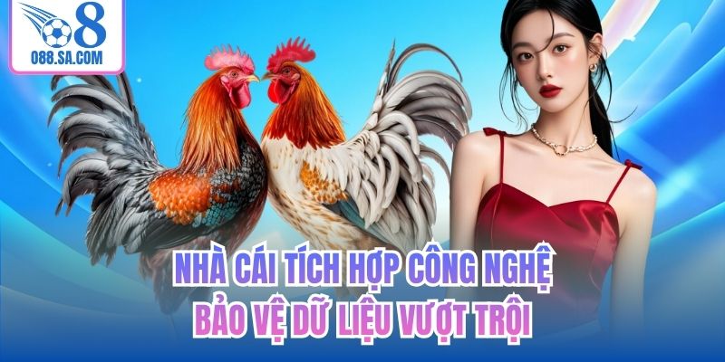 Nhà cái tích hợp công nghệ bảo vệ dữ liệu vượt trội